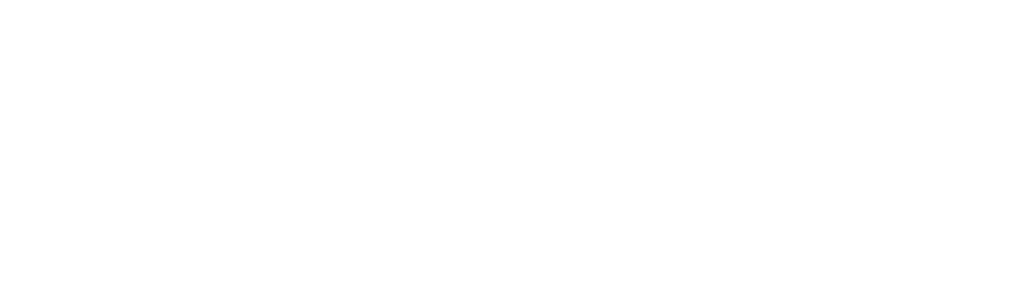 Портал фестивалей Школы циркового искусства имени Ю.В.Никулина